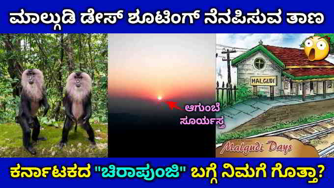 amazing facts about agumbe in kannada