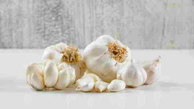 garlic is a panacea for health in kannada