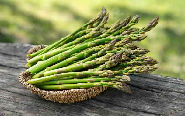 does asparagus increase sperm count in kannada