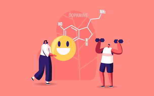 what does dopamine do to your body in kannada