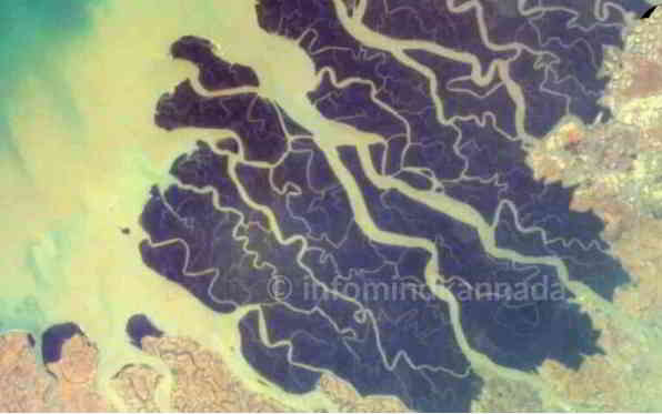 can ganga delta can be seen from space in kannada