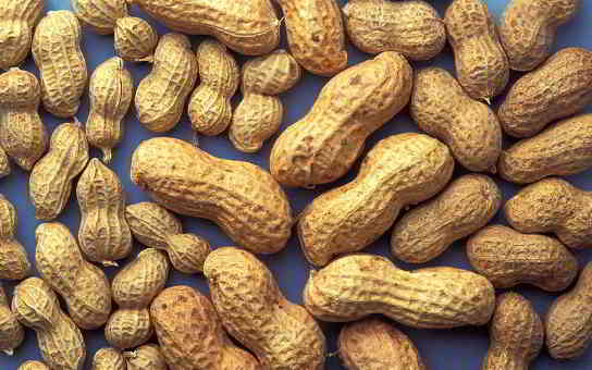 peanut and allergy in kannada