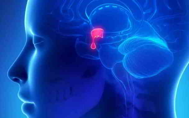 pituitary gland on height increase in kannada