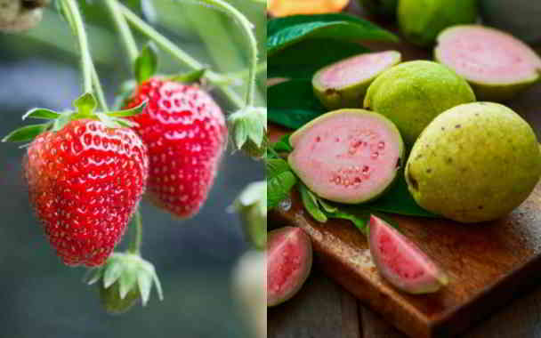 strawberry and guava for hairfall in kannada