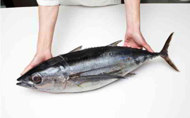 tuna fish for weight loss